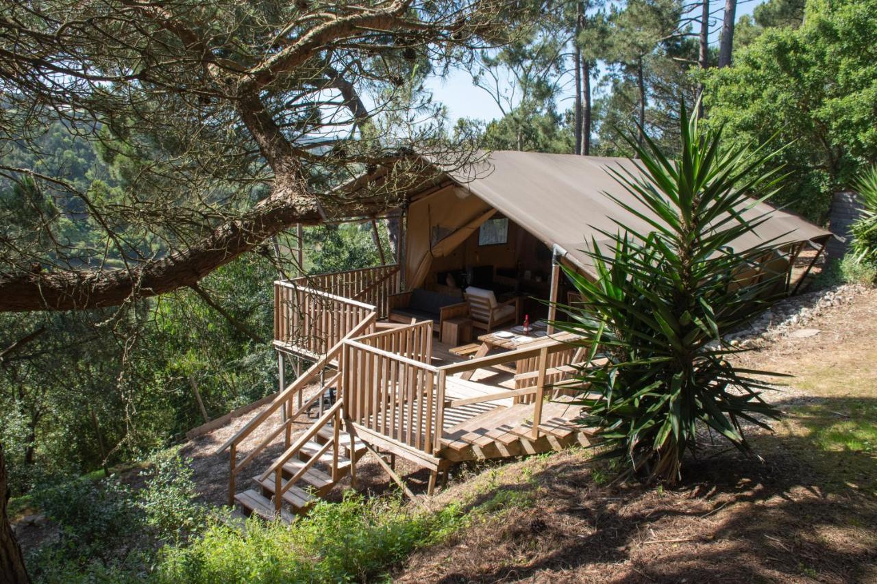 Quinta Japonesa Bed & Breakfast Carvalhal Bemfeito Екстериор снимка