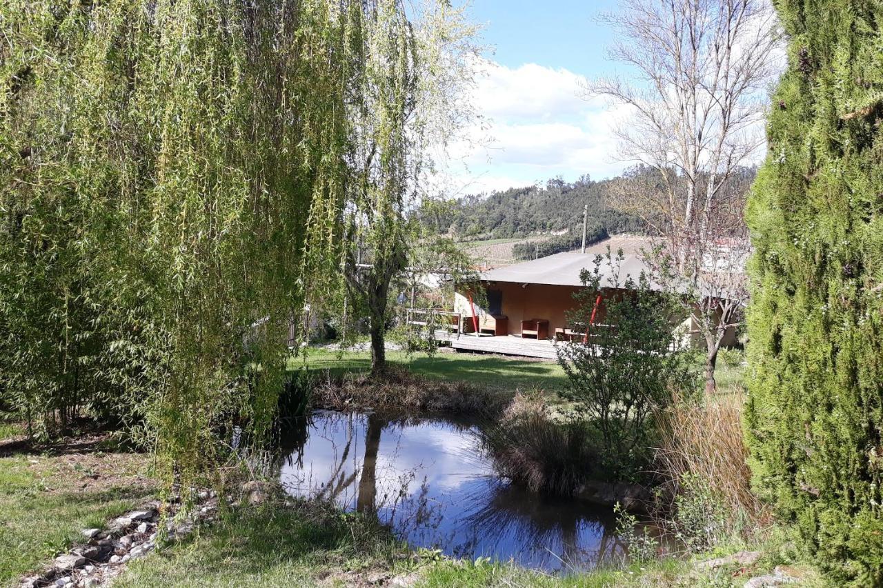 Quinta Japonesa Bed & Breakfast Carvalhal Bemfeito Екстериор снимка