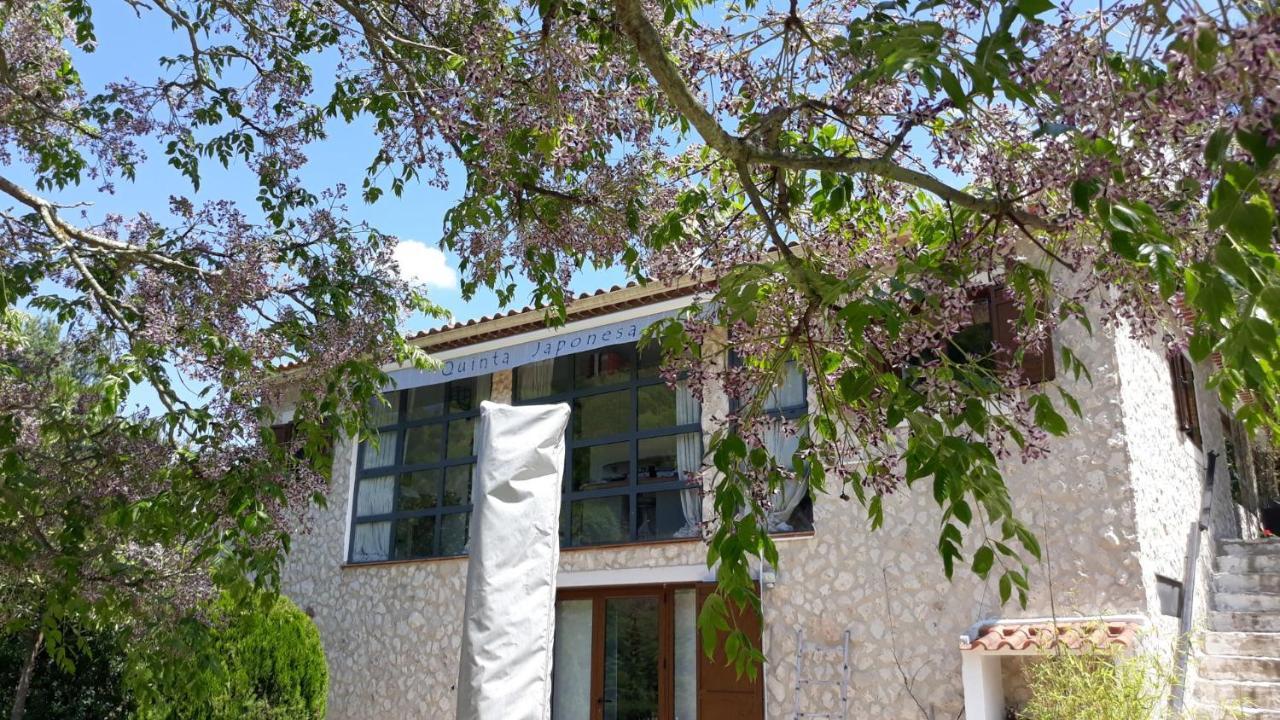 Quinta Japonesa Bed & Breakfast Carvalhal Bemfeito Екстериор снимка