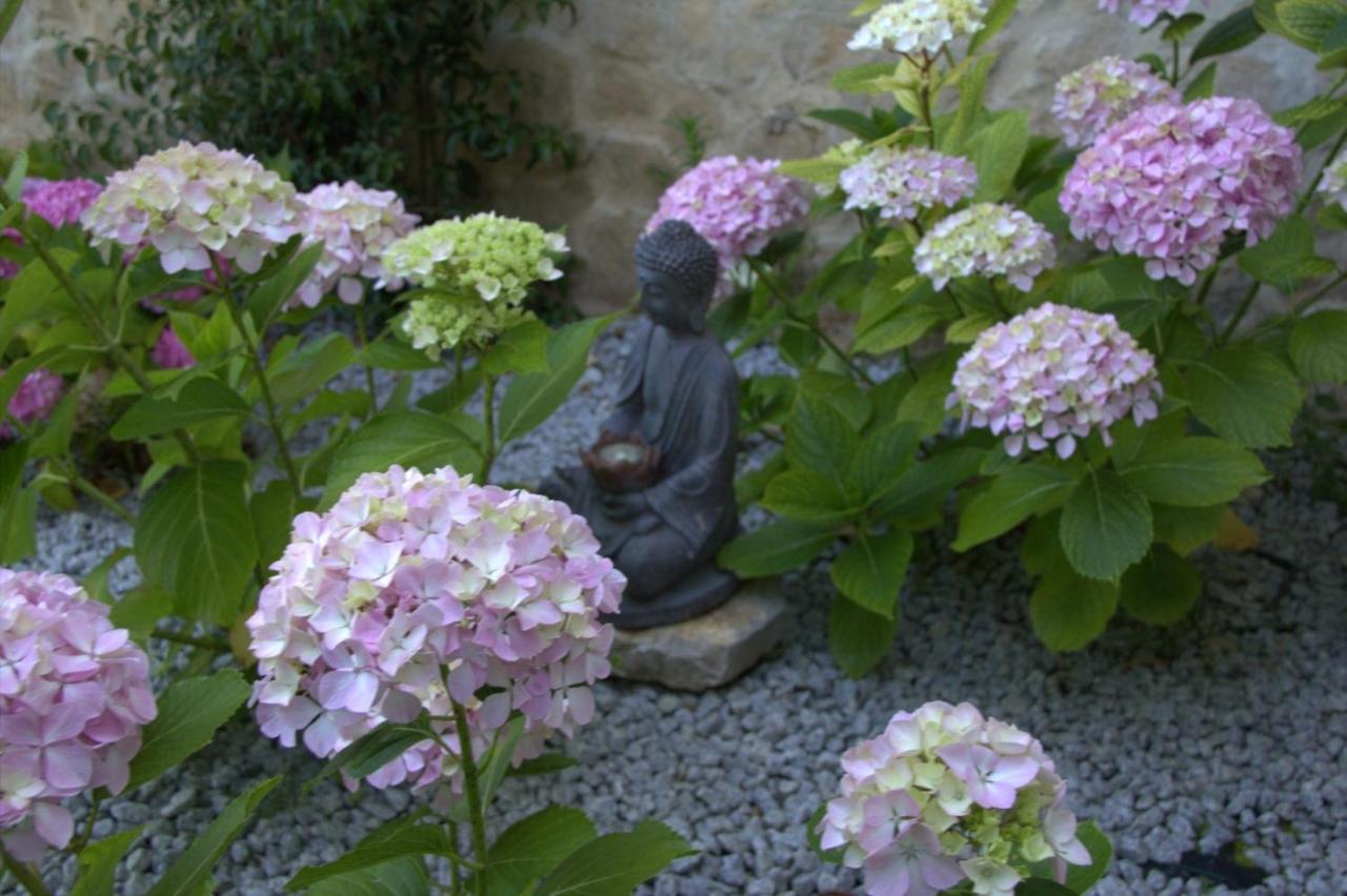 Quinta Japonesa Bed & Breakfast Carvalhal Bemfeito Екстериор снимка
